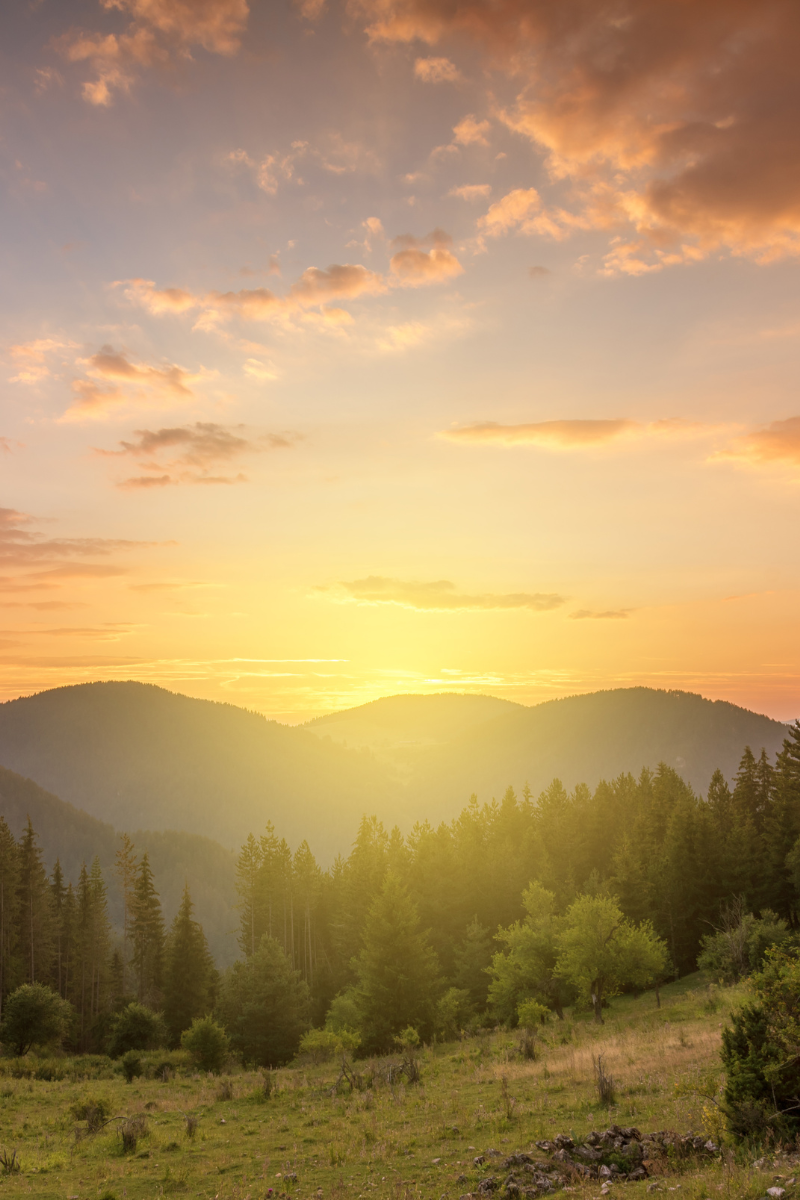 Image of the sun rising behind mountains.  In the foreground are pine trees and a grassy hillside.