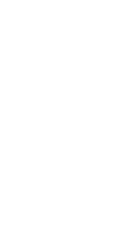 Leaf outline - white